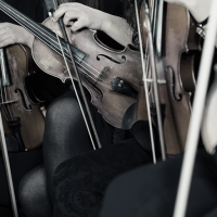 Music & Culture